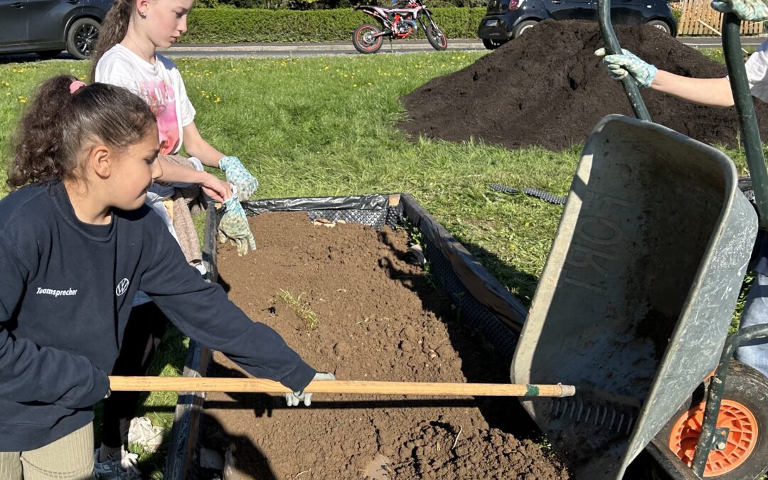 Projekt Schulgarten