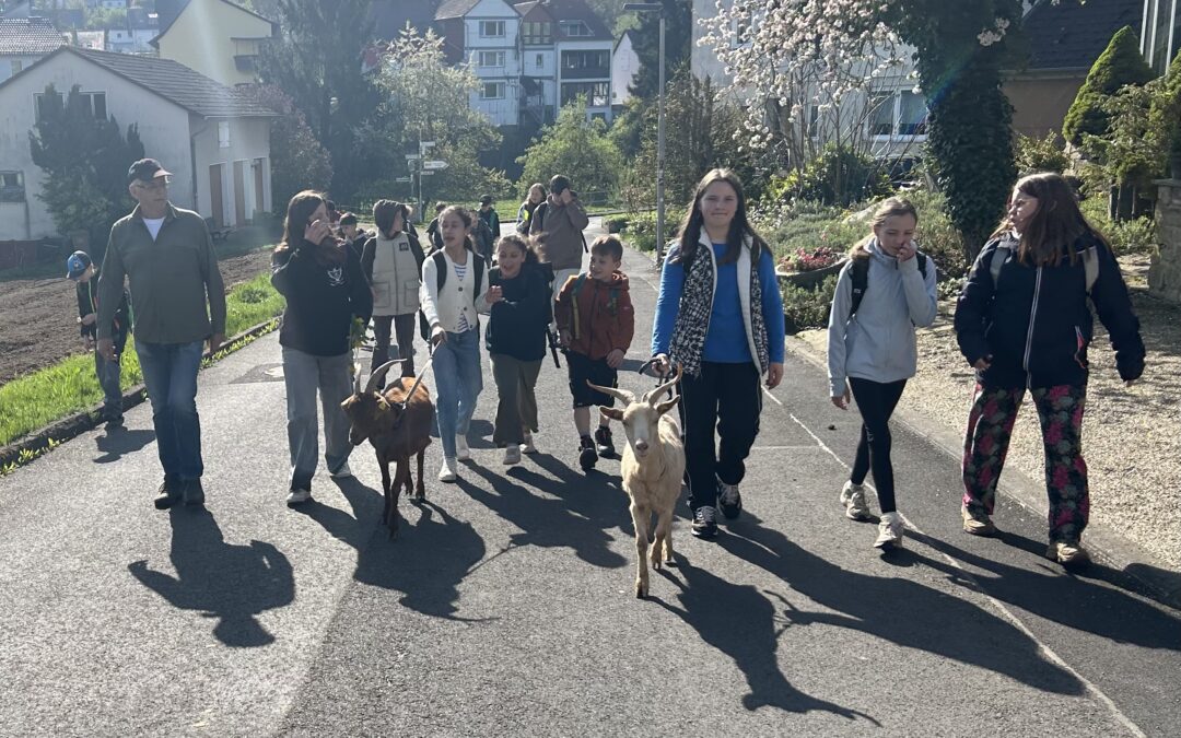 Ein Ziegenspaziergang