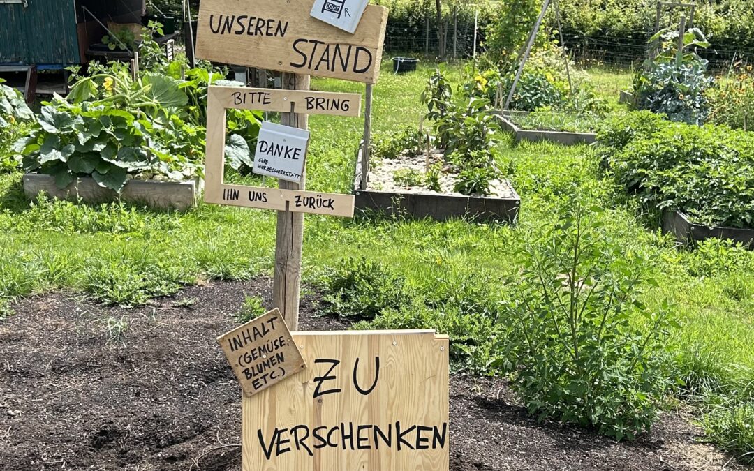Augustupdate aus dem Schulgarten