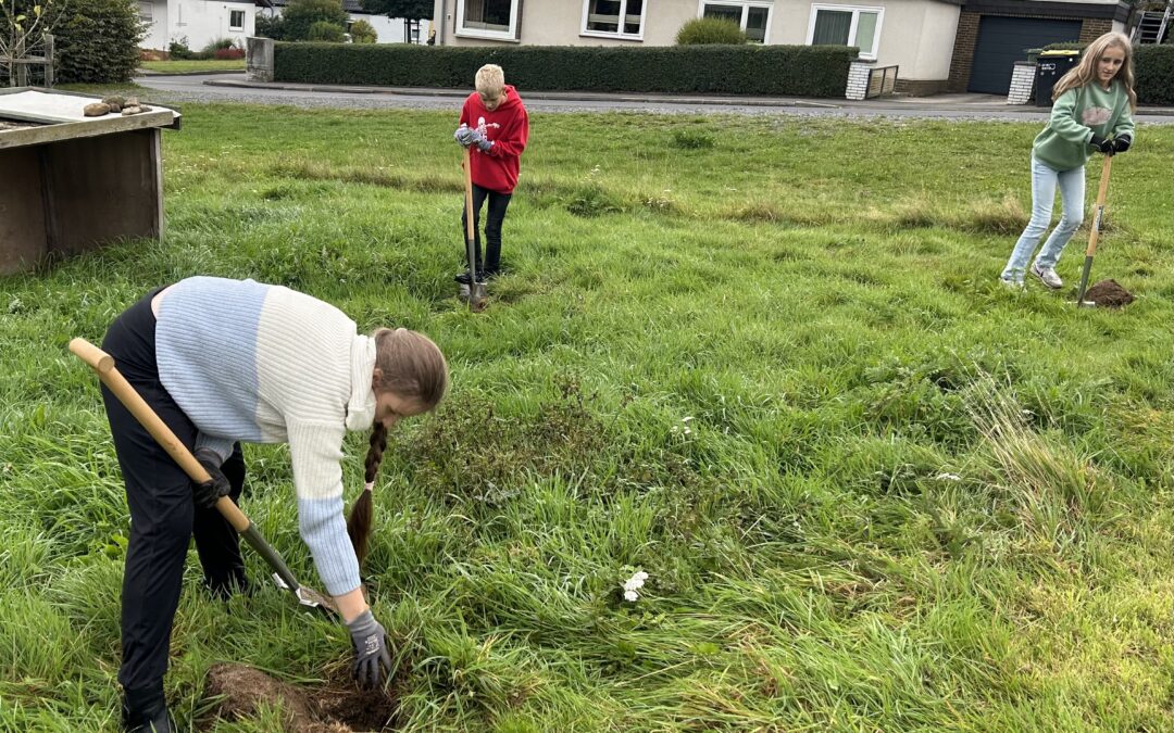 Oktoberupdate aus dem Schulgarten