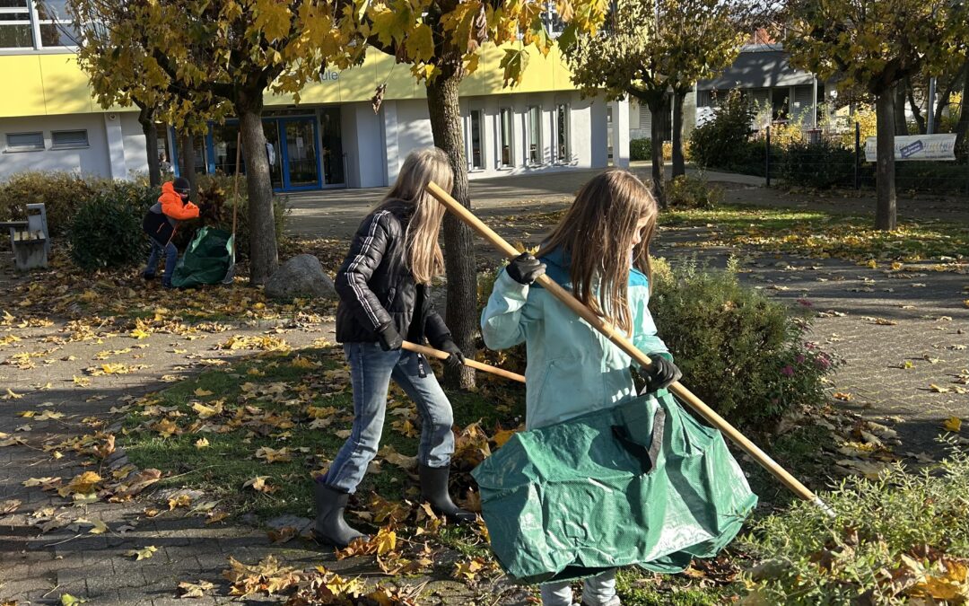 Novemberupdate aus dem Schulgarten