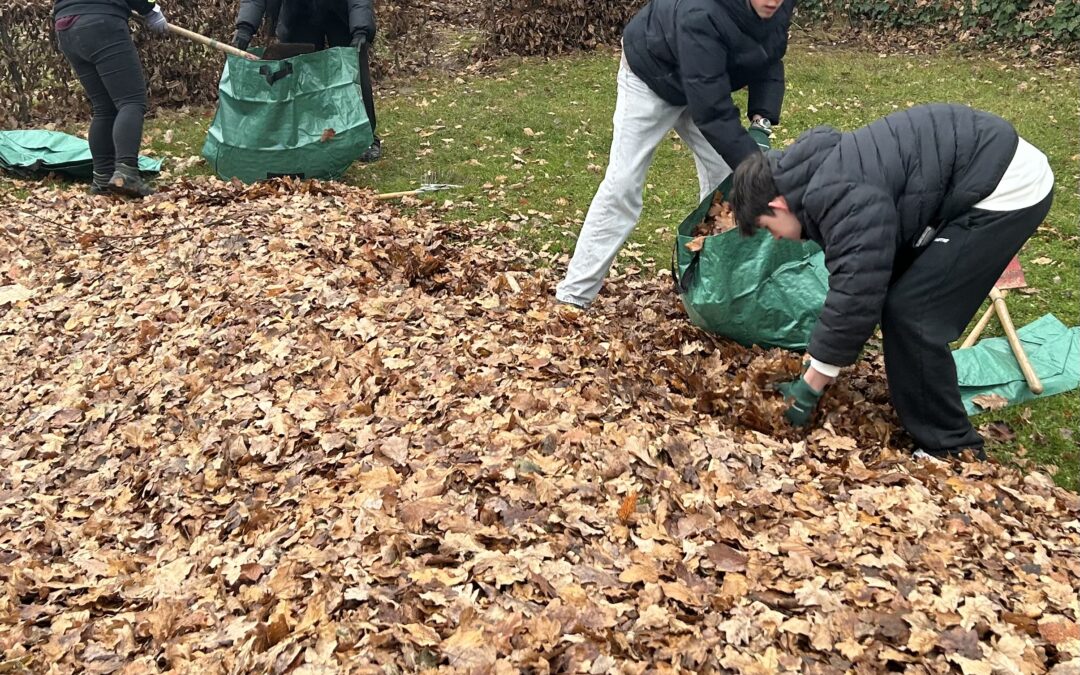 Novemberupdate aus dem Schulgarten